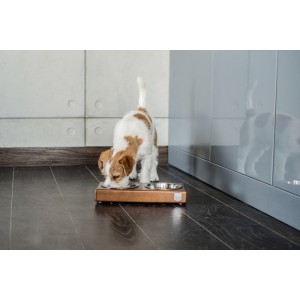 Miska dla psa DUO amber | Bowl and Bone Republic | PETZWELCOME