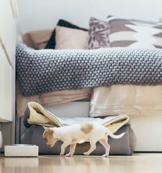 Miska dla psa DUO amber | Bowl and Bone Republic | PETZWELCOME