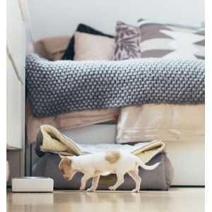 Miska dla psa DUO chestnut| Bowl and Bone Republic | PETZWELCOME