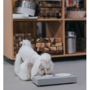 Miska dla psa DUO CERAMIC jasmine| Bowl and Bone Republic | PETZWELCOME