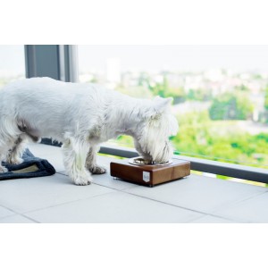 Miska dla psa SOLO gray| Bowl and Bone Republic | PETZWELCOME