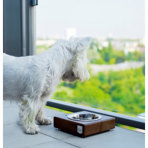 Miska dla psa SOLO gray| Bowl and Bone Republic | PETZWELCOME