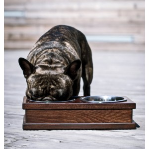 Miska dla psa GRANDE amber | Bowl and Bone Republic | PETZWELCOME