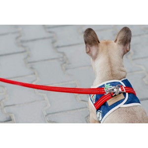 Dog harness DENIM gray  | Bowl and Bone Republic | PETZWELCOME