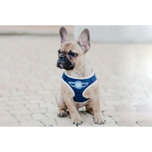 Dog harness DENIM gray  | Bowl and Bone Republic | PETZWELCOME