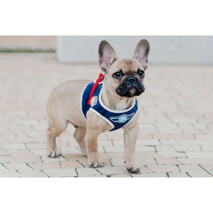 Dog harness DENIM gray  | Bowl and Bone Republic | PETZWELCOME