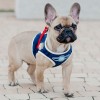 Dog harness DENIM gray  | Bowl and Bone Republic | PETZWELCOME