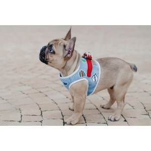 Dog harness DENIM gray  | Bowl and Bone Republic | PETZWELCOME