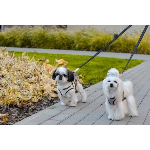 Dog harness SOHO gray  | Bowl and Bone Republic | PETZWELCOME