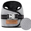 Dog harness SOHO gray  | Bowl and Bone Republic | PETZWELCOME
