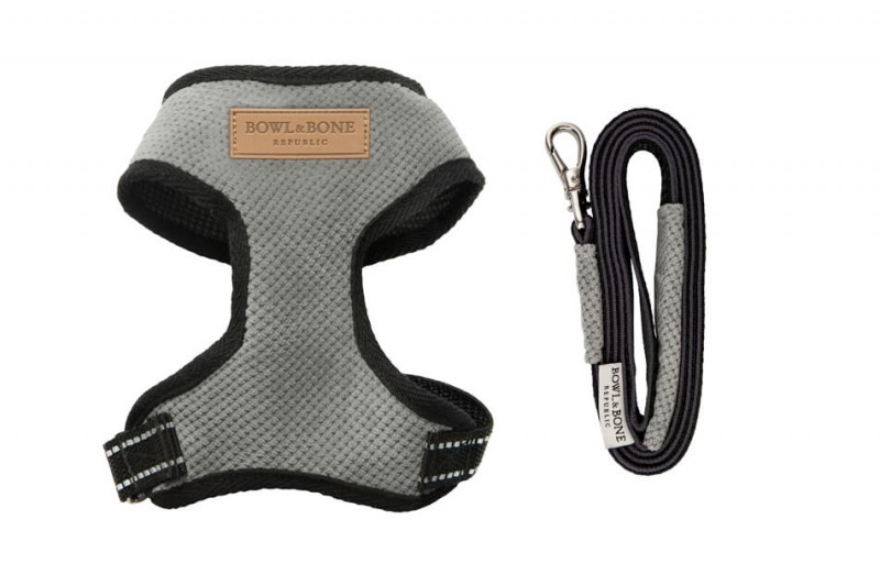 Dog harness CANDY gray  | Bowl and Bone Republic | PETZWELCOME