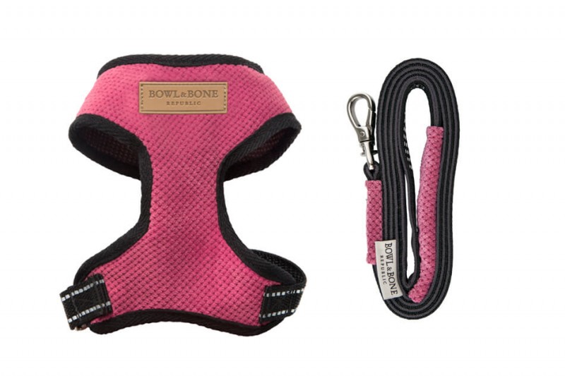 Dog harness CANDY pink  | Bowl and Bone Republic | PETZWELCOME