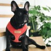 Dog harness CANDY red  | Bowl and Bone Republic | PETZWELCOME