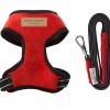 Dog harness CANDY red  | Bowl and Bone Republic | PETZWELCOME