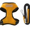 Dog harness CANDY yellow | Bowl and Bone Republic | PETZWELCOME