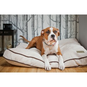 Poducha dla psa DECO sapphire | Bowl and Bone Republic | PETZWELCOME