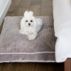 DECO dog cushion sapphire | Bowl and Bone Republic | PETZWELCOME