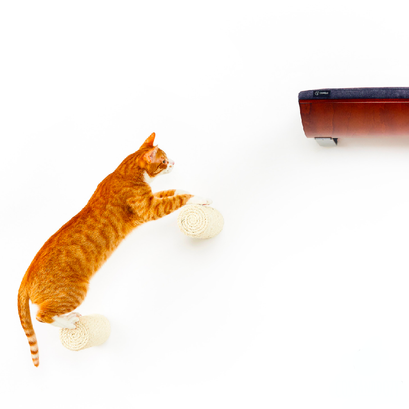 Schodek dla kota na ścianę