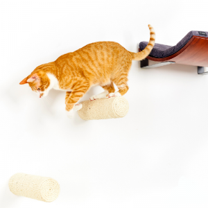 Schodek dla kota na ścianę