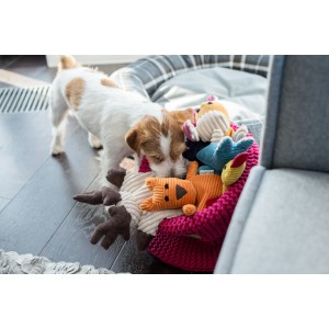 DEX dog toy | BOWL AND BONE REPUBLIC | PETZWELCOME
