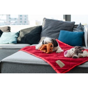 TOFFI dog toy | BOWL AND BONE REPUBLIC | PETZWELCOME