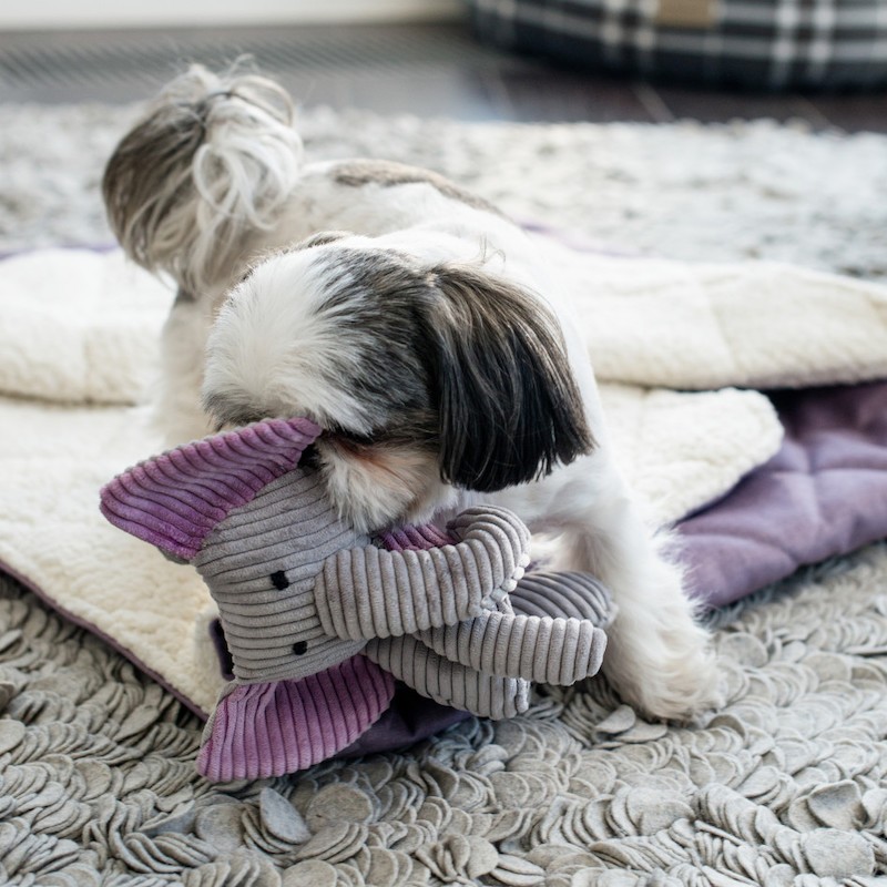 Zabawka dla psa DUMBO | BOWL AND BONE REPUBLIC | PETZWELCOME