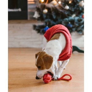 BULLET red dog toy | BOWL AND BONE REPUBLIC | PETZWELCOME