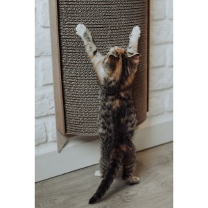Cat scratcher Bellycat | MISS PAPER | PETZWELCOME