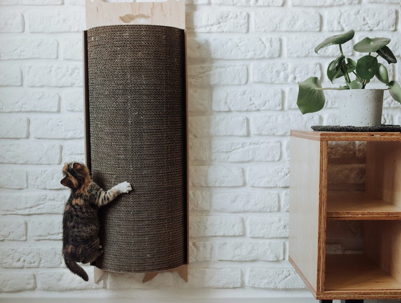 Drapak dla kota Bellycat | MISS PAPER | PETZWELCOME