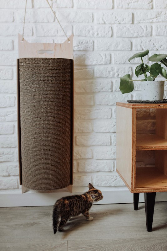 Drapak dla kota Bellycat | MISS PAPER | PETZWELCOME