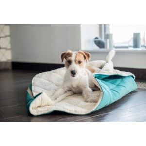 DREAMY nero sleeping bag | BOWL AND BONE REPUBLIC | PETZWELCOME