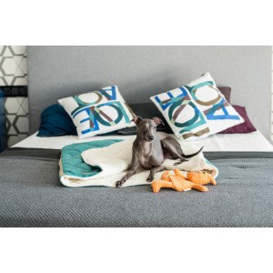 DREAMY mint sleeping bag | BOWL AND BONE REPUBLIC | PETZWELCOME