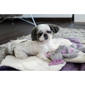 Śpiworek dla psa DREAMY lily | BOWL AND BONE REPUBLIC | PETZWELCOME