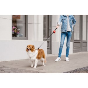 Etui na woreczki dla psa MINI red | Bowl&Bone Republic | PETZWELCOME