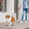 Dog waste bag holder MINI red | Bowl&Bone Republic | PETZWELCOME