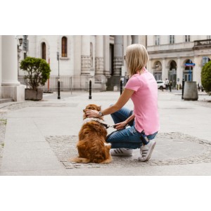 Dog waste bag holder MINI black | Bowl&Bone Republic | PETZWELCOME