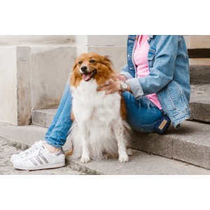 Dog waste bag holder MINI black | Bowl&Bone Republic | PETZWELCOME