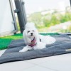 Dog mat LOFT gray | BOWL AND BONE REPUBLIC | PETZWELCOME