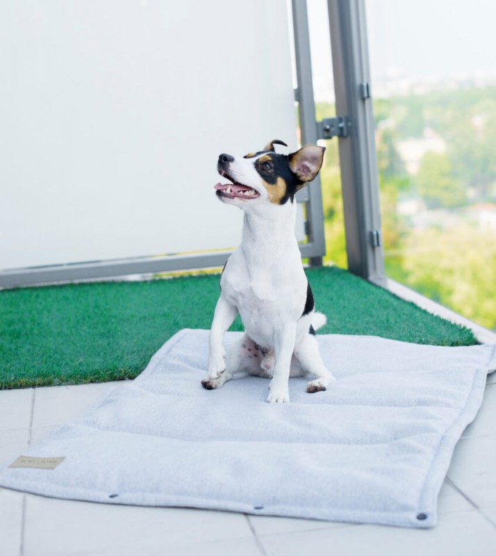 Mata dla psa LOFT gray | BOWL AND BONE REPUBLIC | PETZWELCOME