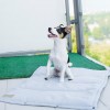 Dog mat LOFT gray | BOWL AND BONE REPUBLIC | PETZWELCOME