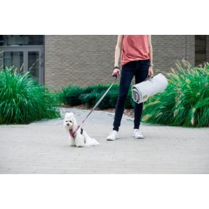 Mata dla psa LOFT gray | BOWL AND BONE REPUBLIC | PETZWELCOME