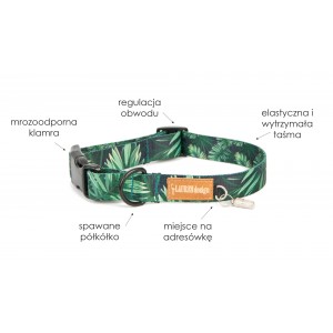 Collar for dog Military | Lauren design | PETZWELCOME