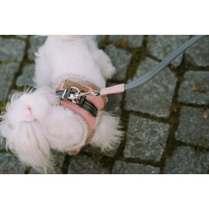 Dog harness YETI Cream | BB Republic | PETZWELCOME