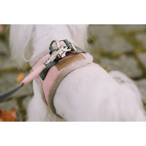 Dog harness YETI Cream | BB Republic | PETZWELCOME