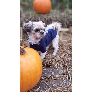 Granatowa bluza dla psa Skull | My Star | PETZWELCOME