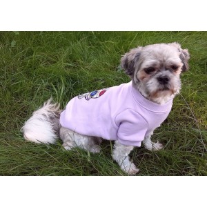 Lavender dog ​​sweatshirt Skull | My Star | PETZWELCOME