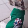 Zielona bluza dla psa Skull | My Star | PETZWELCOME