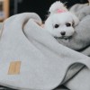 Blanket for dog ZEN graphite | Bowl and Bone Republic | PETZWELCOME