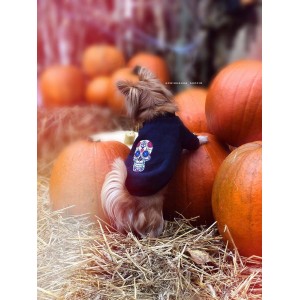 Granatowa bluza dla psa Skull | My Star | PETZWELCOME