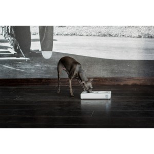 Miska dla psa DUO CERAMIC chestnut| Bowl and Bone Republic | PETZWELCOME